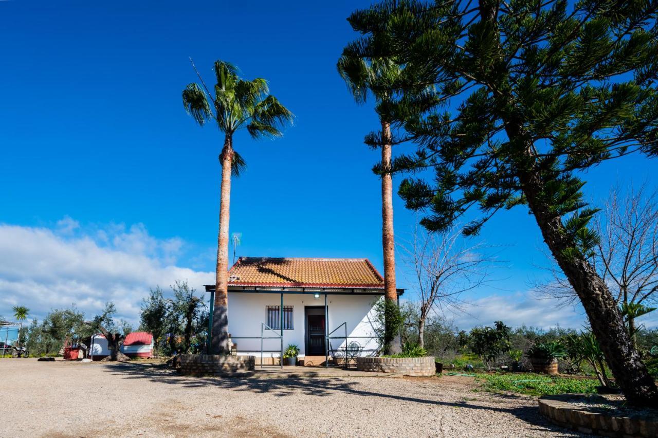 El Paraiso Del Olivar Bollullos de la Mitación Exterior foto