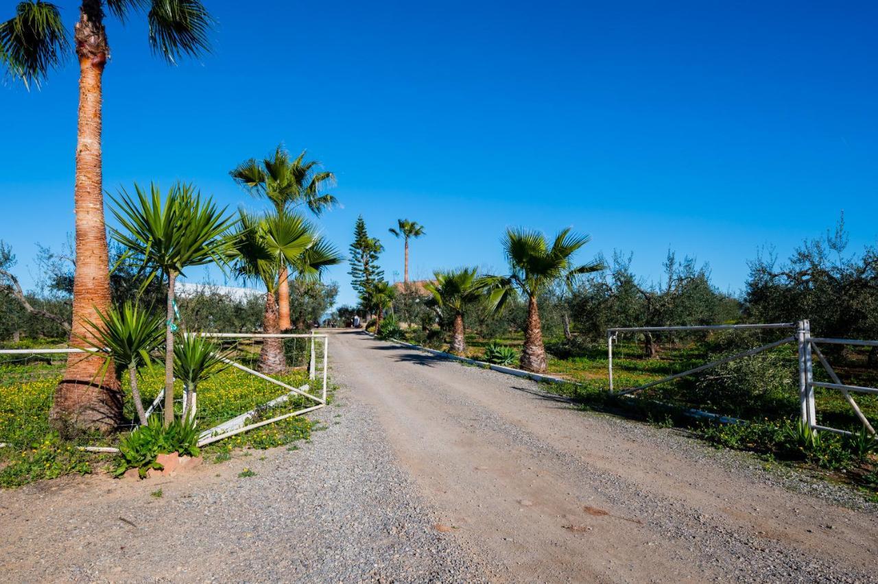 El Paraiso Del Olivar Bollullos de la Mitación Exterior foto