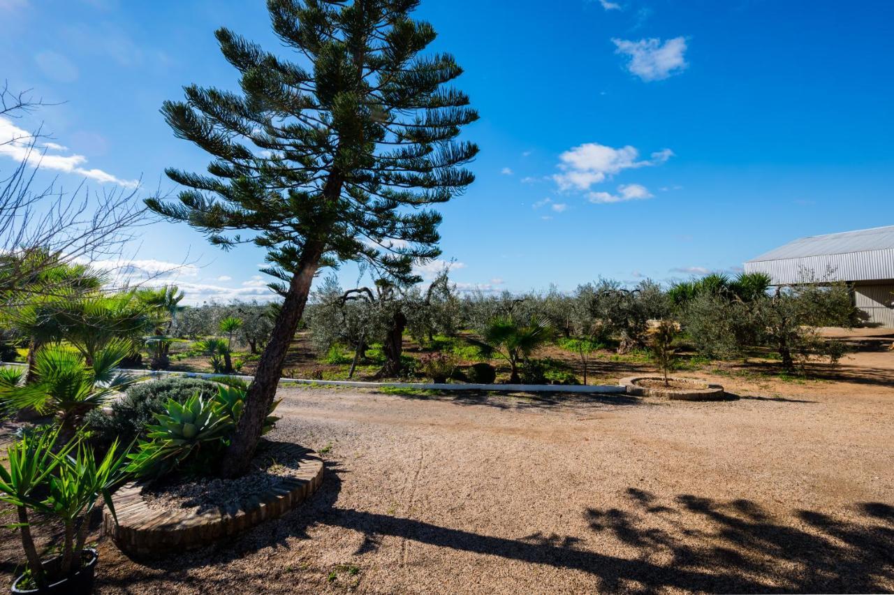 El Paraiso Del Olivar Bollullos de la Mitación Exterior foto